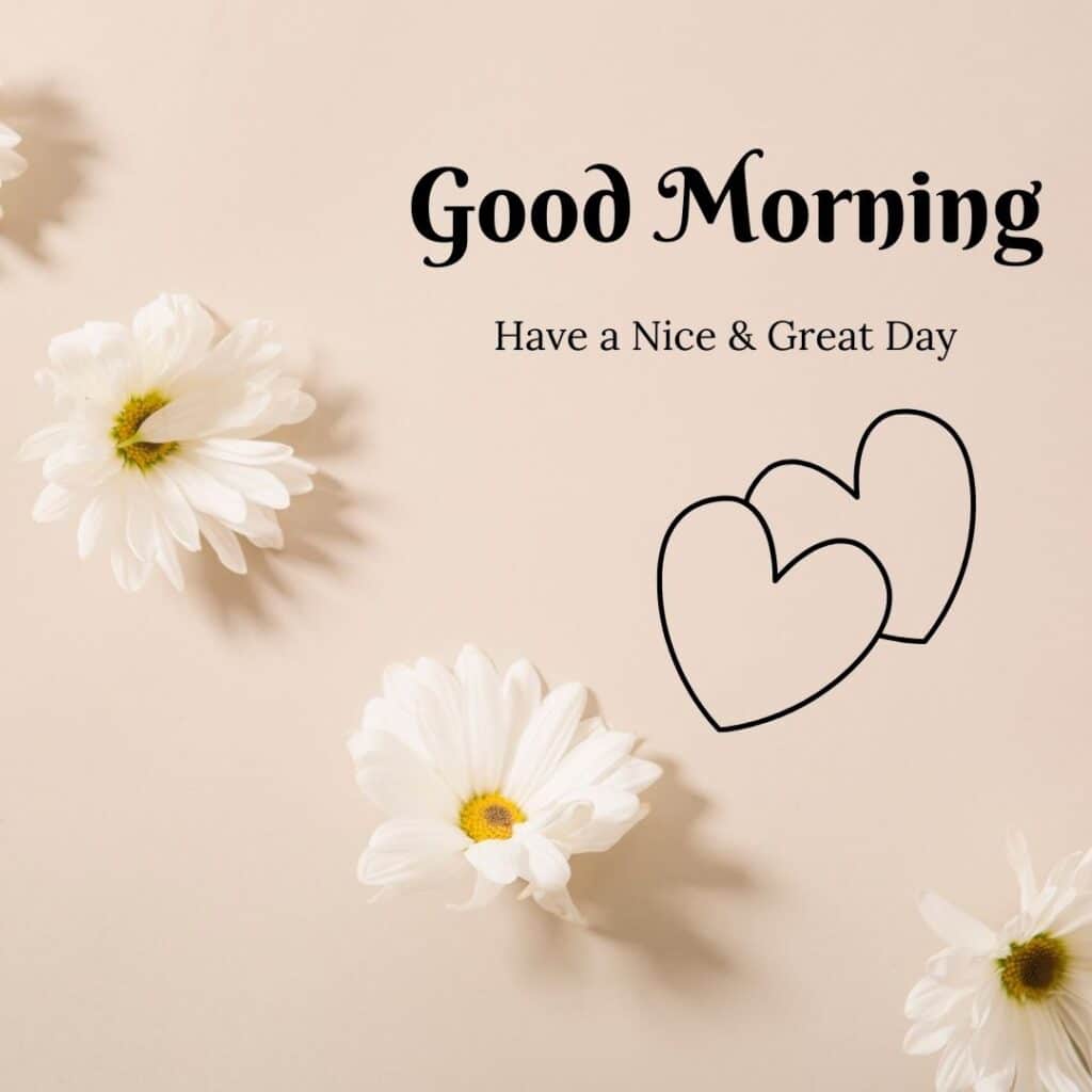 Beautiful Good Morning image - zero motivational