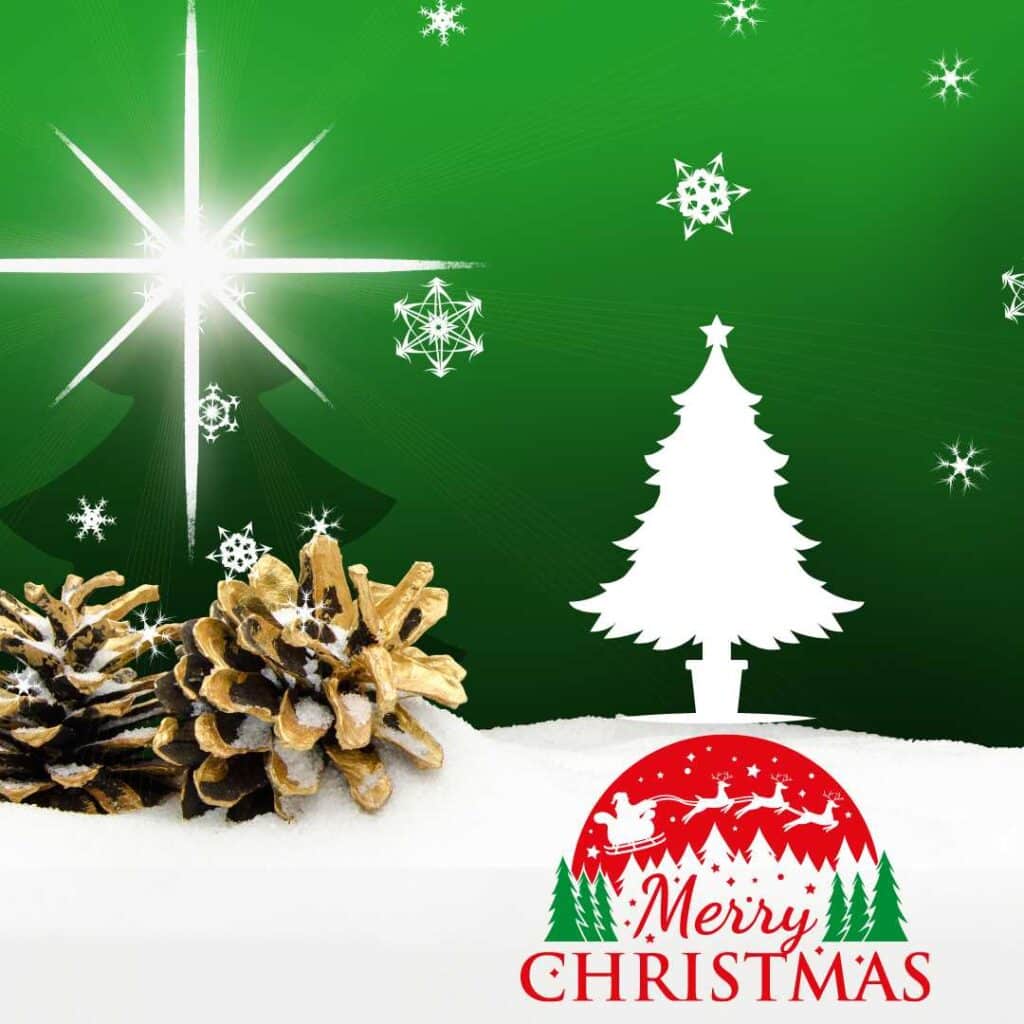 merry Christmas Wishes 2022 image