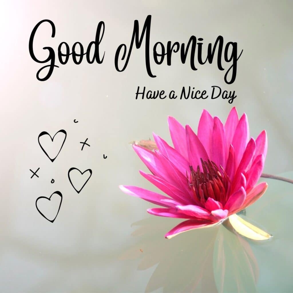 beautiful Good Morning image - zero motivational