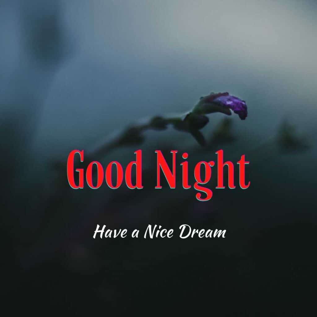 good night images purple flower - zero motivational