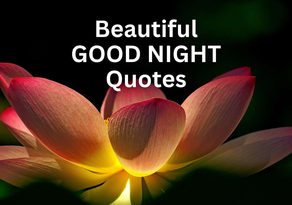 good night image Quotes